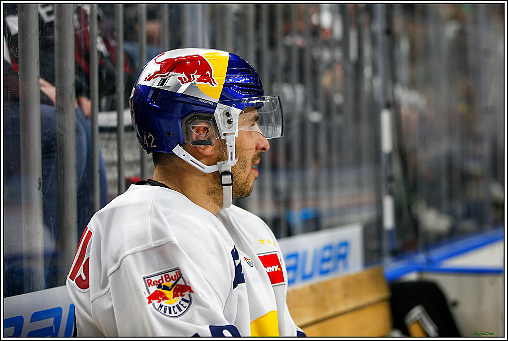 PENNY DEL; Koelner Haie- Red BUll Muenchen; Koeln, 08.11.2022